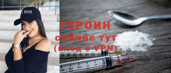 хмурый Пересвет