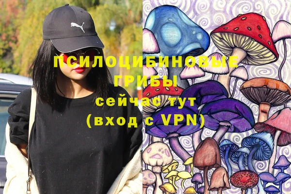 хмурый Пересвет