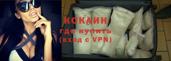 хмурый Пересвет