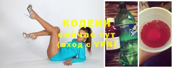 хмурый Пересвет