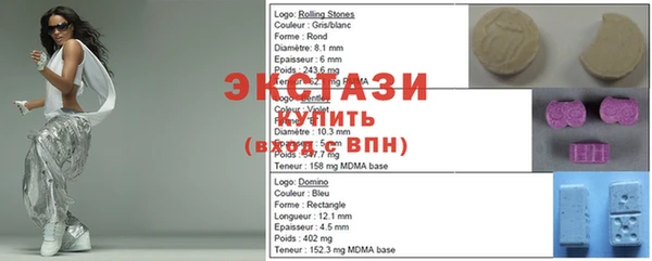 хмурый Пересвет