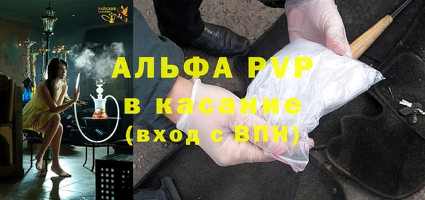 хмурый Пересвет