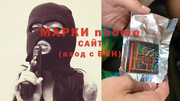 хмурый Пересвет