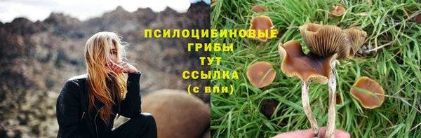 прущий лед Переславль-Залесский