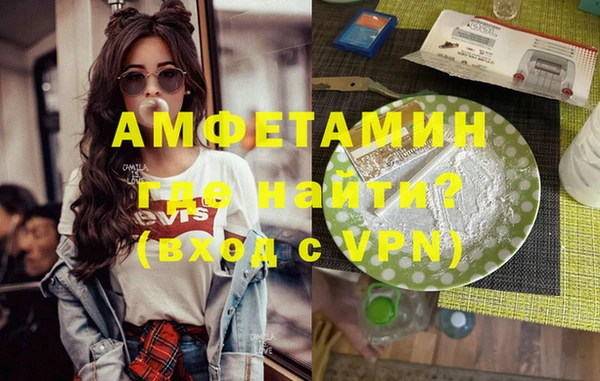 хмурый Пересвет