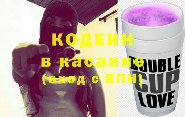 хмурый Пересвет