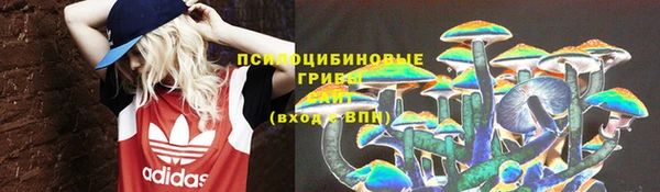 прущий лед Переславль-Залесский