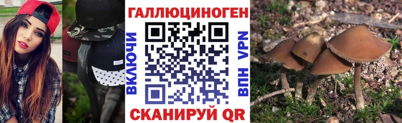 продажа наркотиков  Волоколамск  Псилоцибиновые грибы прущие грибы 