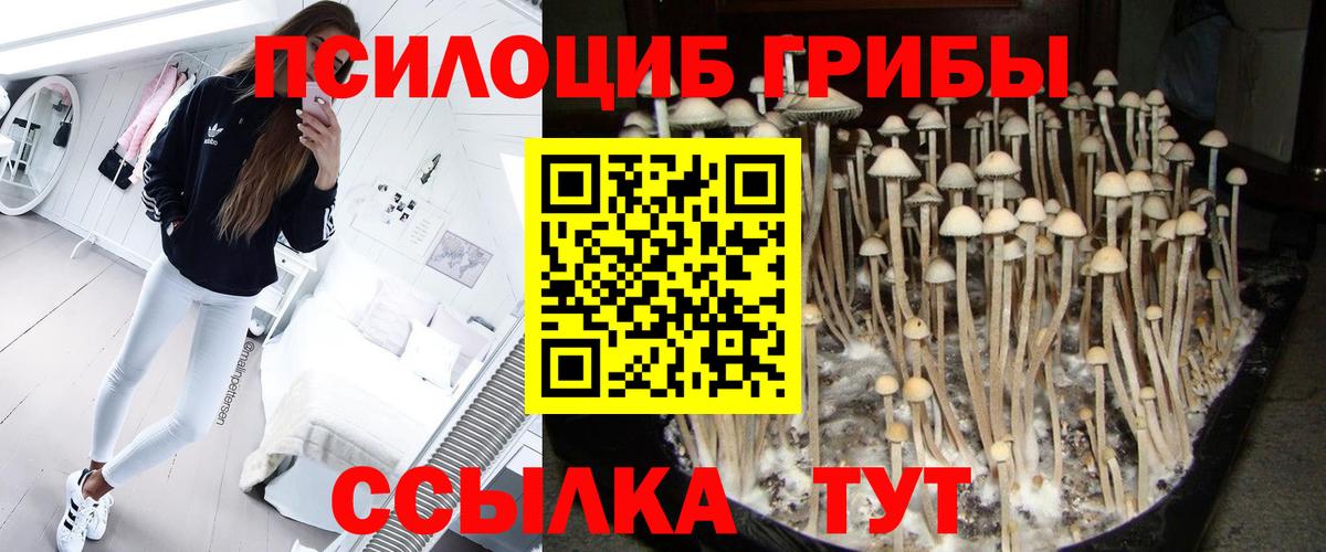 Псилоцибиновые грибы мухоморы Волоколамск