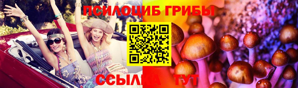 Галлюциногенные грибы Psilocybe  Вход с VPN  цены   Волоколамск 